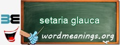 WordMeaning blackboard for setaria glauca